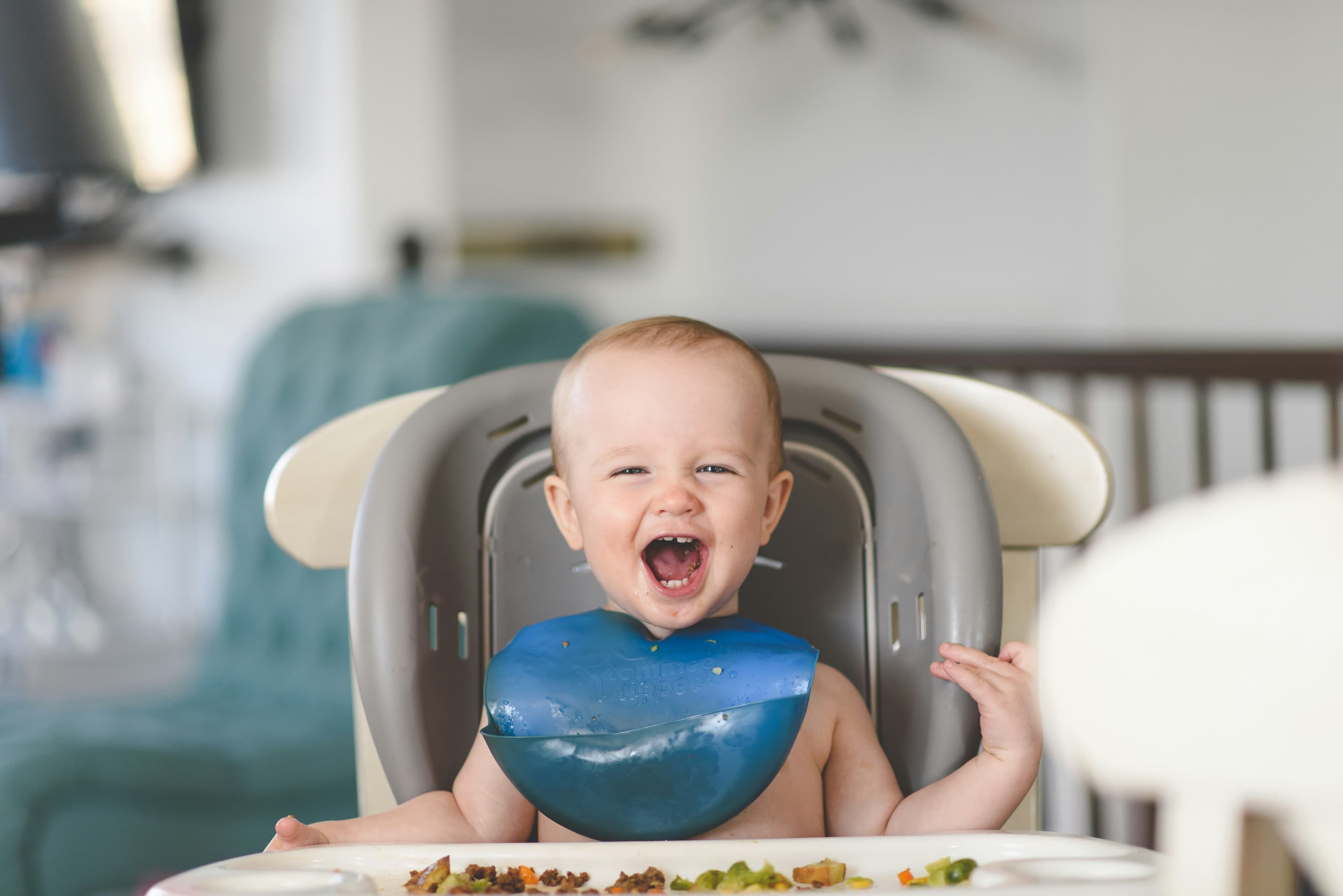 BLW y alimentación complementaria para bebés en Berlín